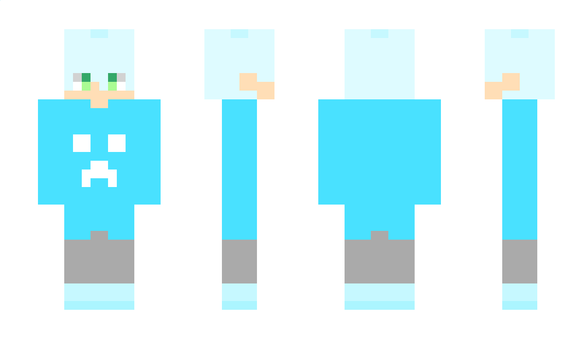 wqewqewqe Minecraft Skin