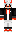 DragInfinite Minecraft Skin