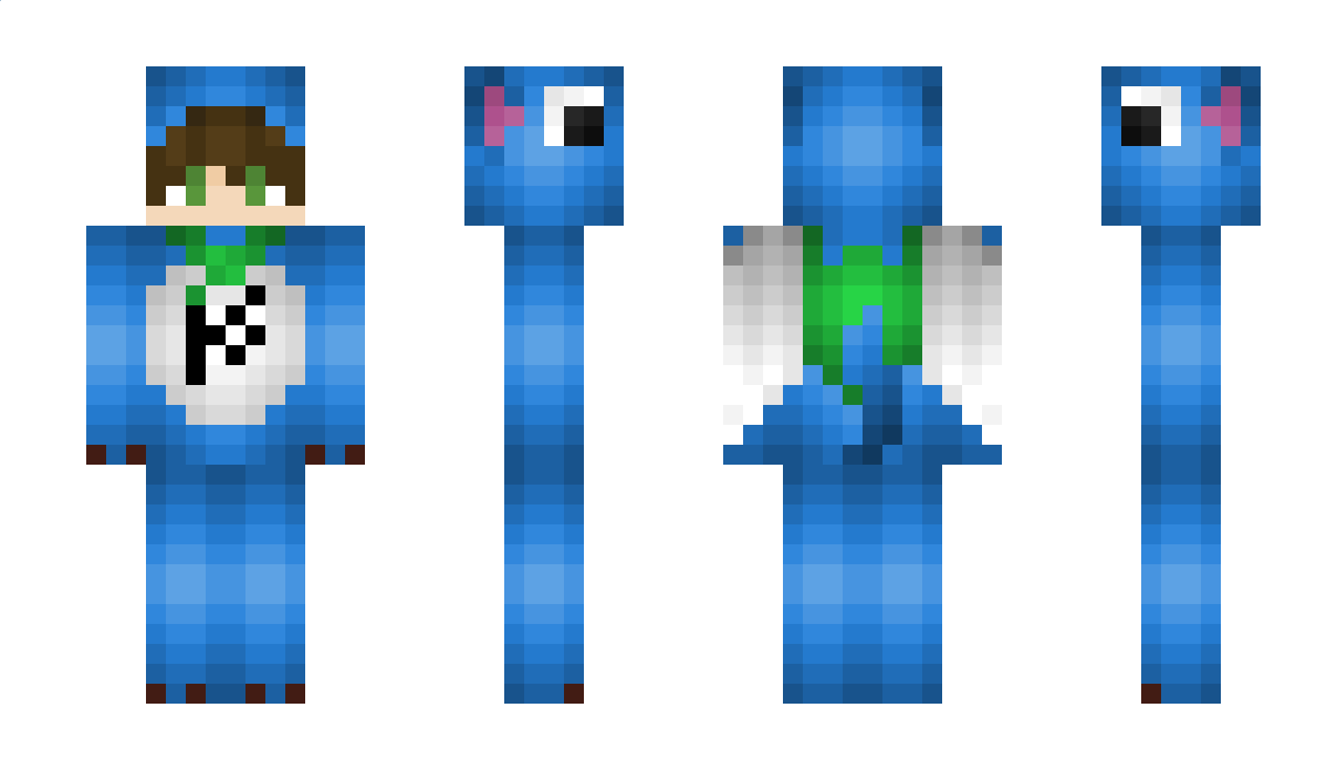 carrecraft11 Minecraft Skin