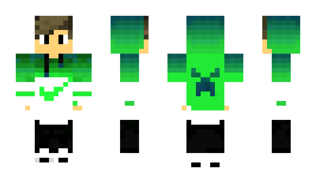 erdrox1 Minecraft Skin