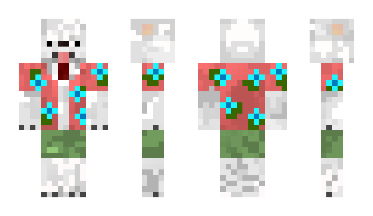 Ari98game Minecraft Skin