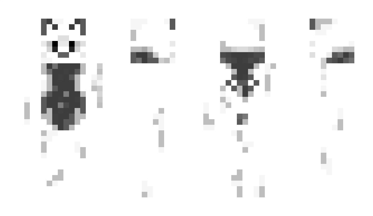 DA_PAENDA Minecraft Skin