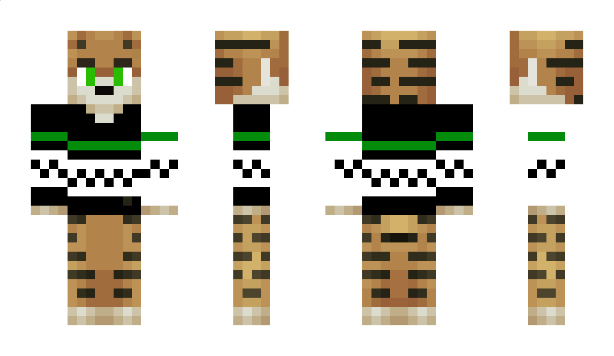 Frames Minecraft Skin