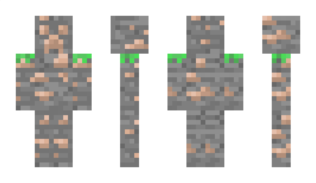 cheetah4 Minecraft Skin