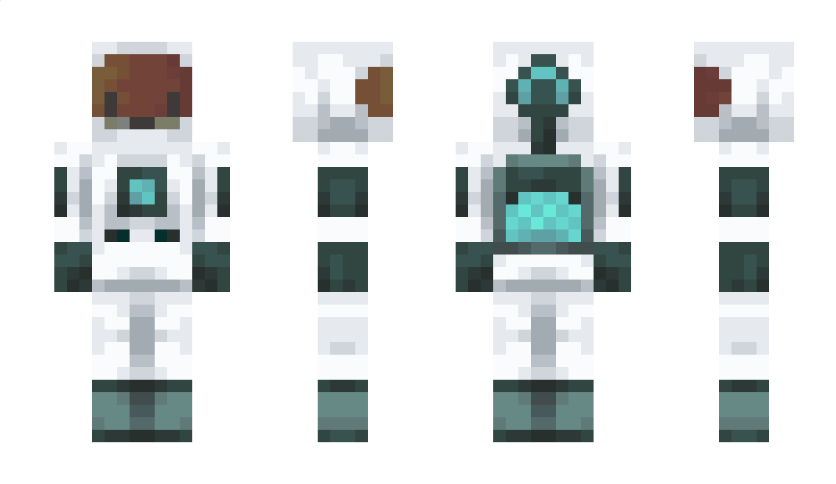 MetaCrypto Minecraft Skin