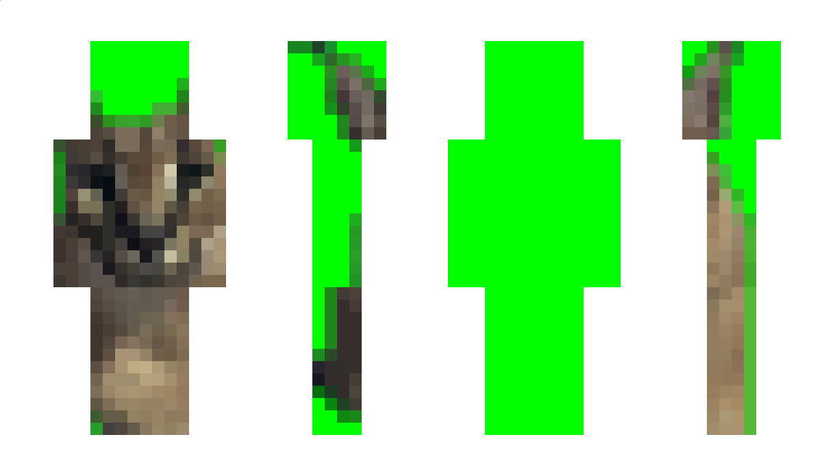 DragonWolf121 Minecraft Skin