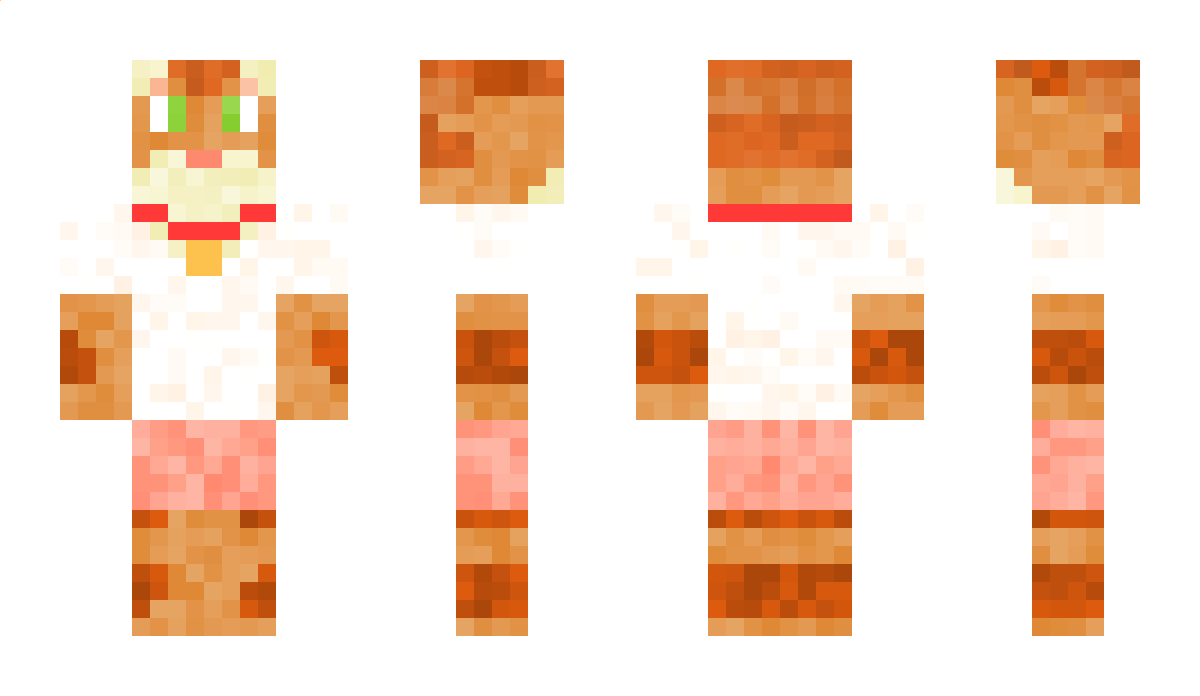 Denni Minecraft Skin