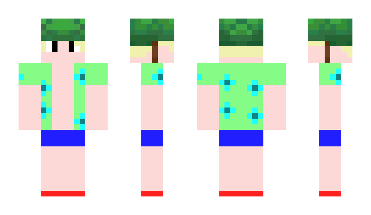 ConsoleWii Minecraft Skin