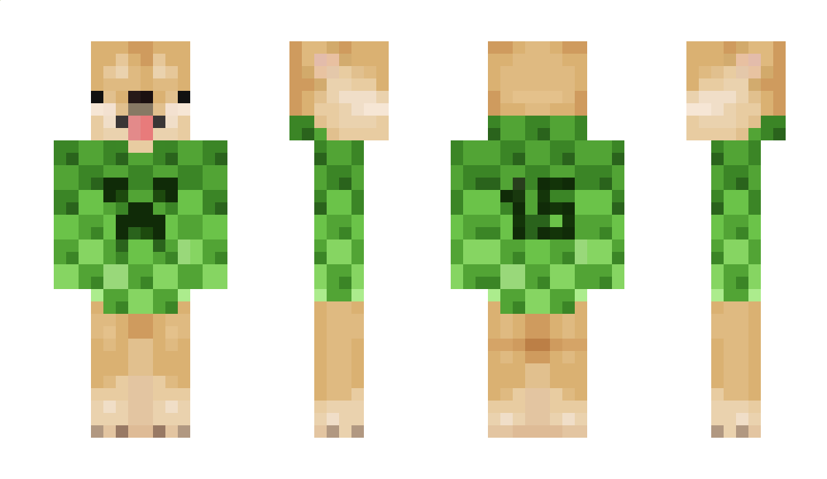 dankka_ Minecraft Skin