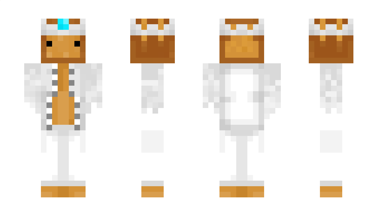 Toastbrot585350 Minecraft Skin