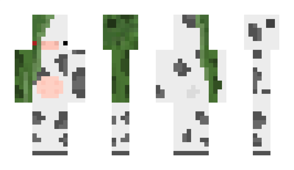 vicissitous Minecraft Skin