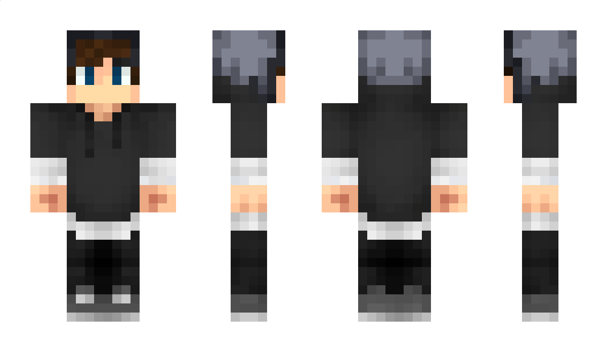 Densejemini Minecraft Skin