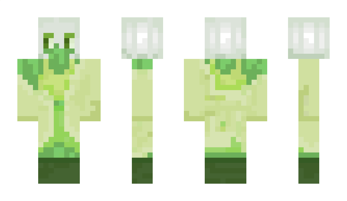 Squ1bbl_ Minecraft Skin