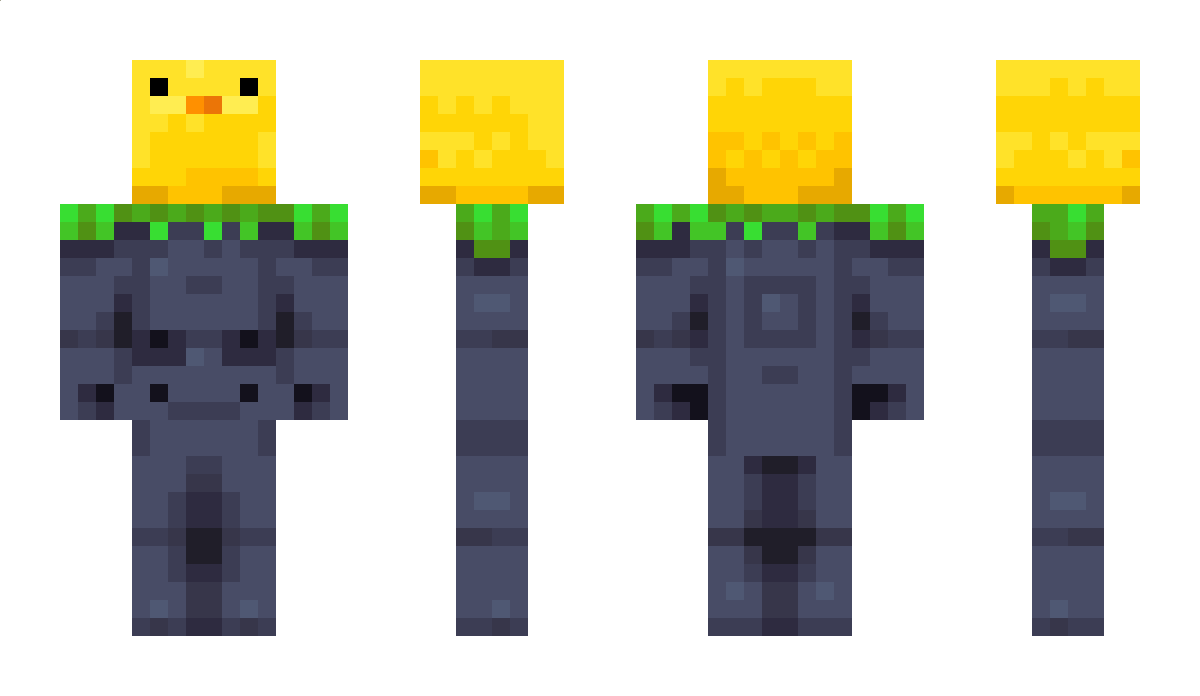 hop Minecraft Skin