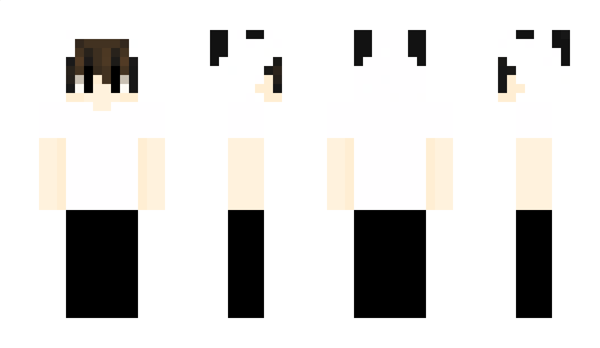 mysteriousboy163 Minecraft Skin