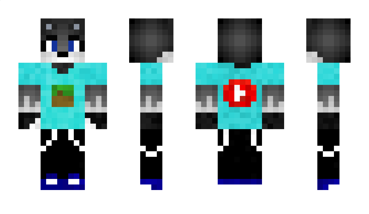 PetrisorRo Minecraft Skin