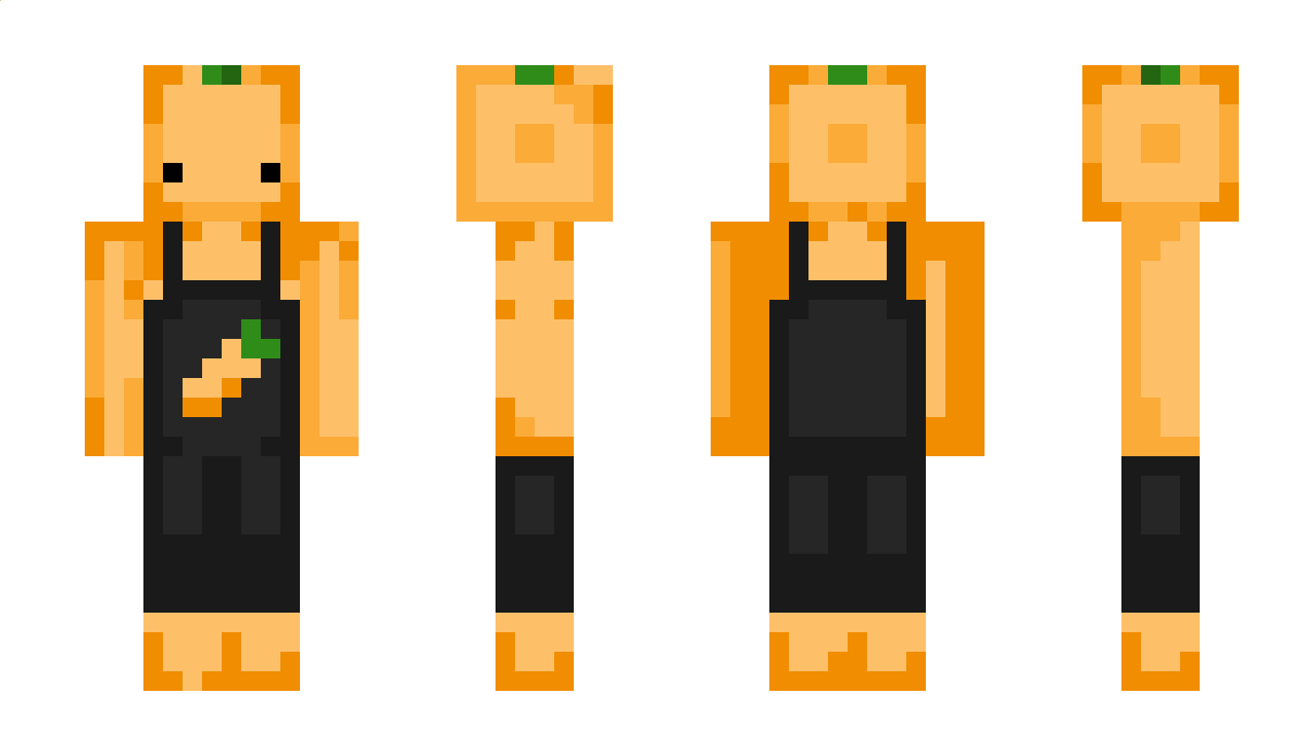 dianella Minecraft Skin