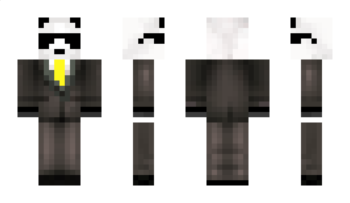 Ender5 Minecraft Skin