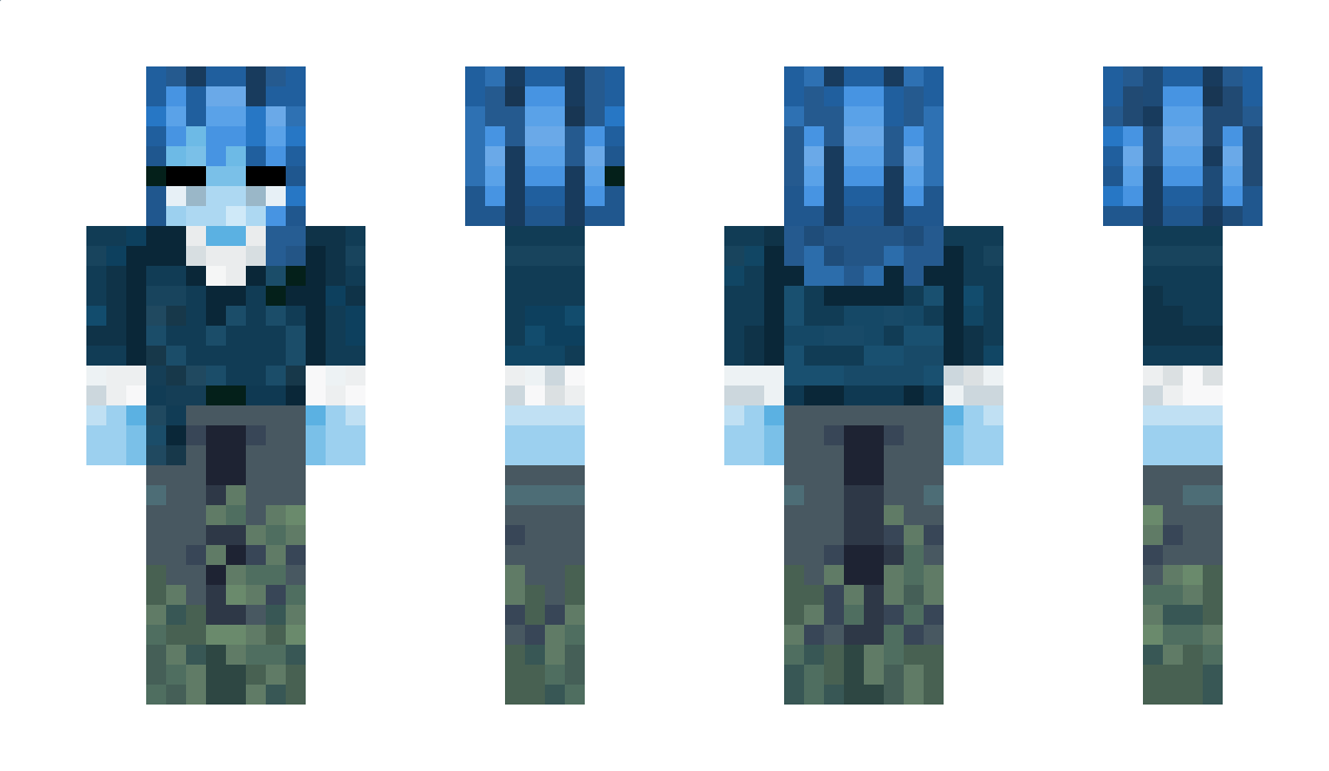 Hoilyz Minecraft Skin