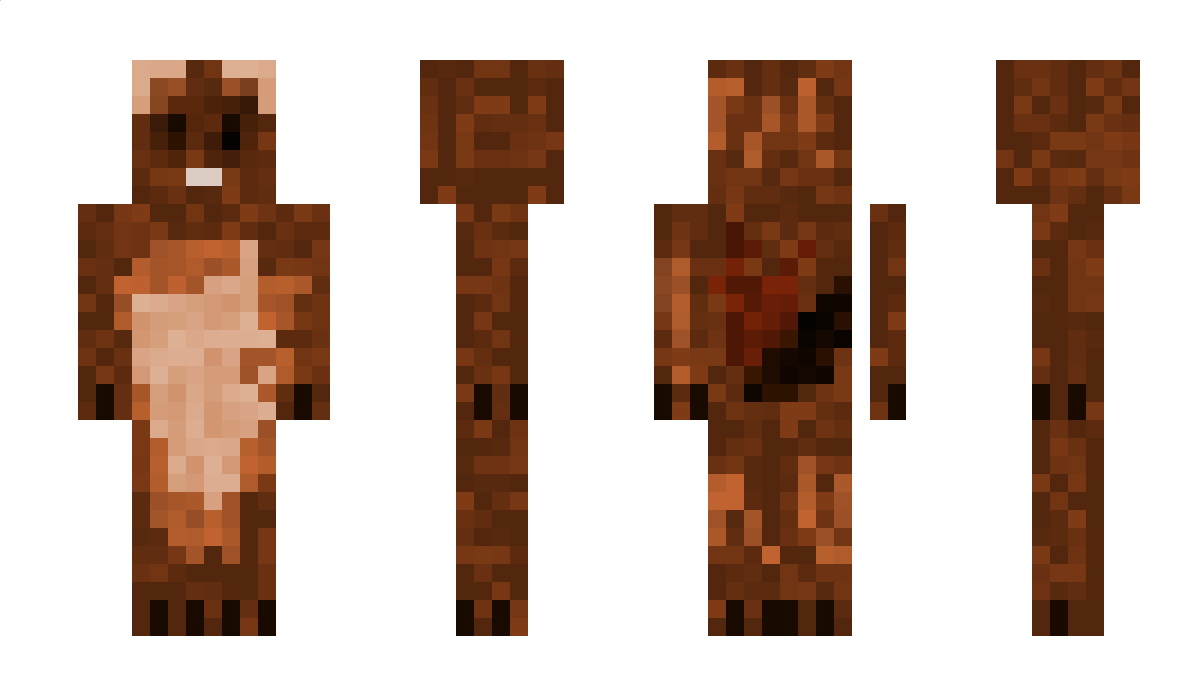 Meitar60 Minecraft Skin