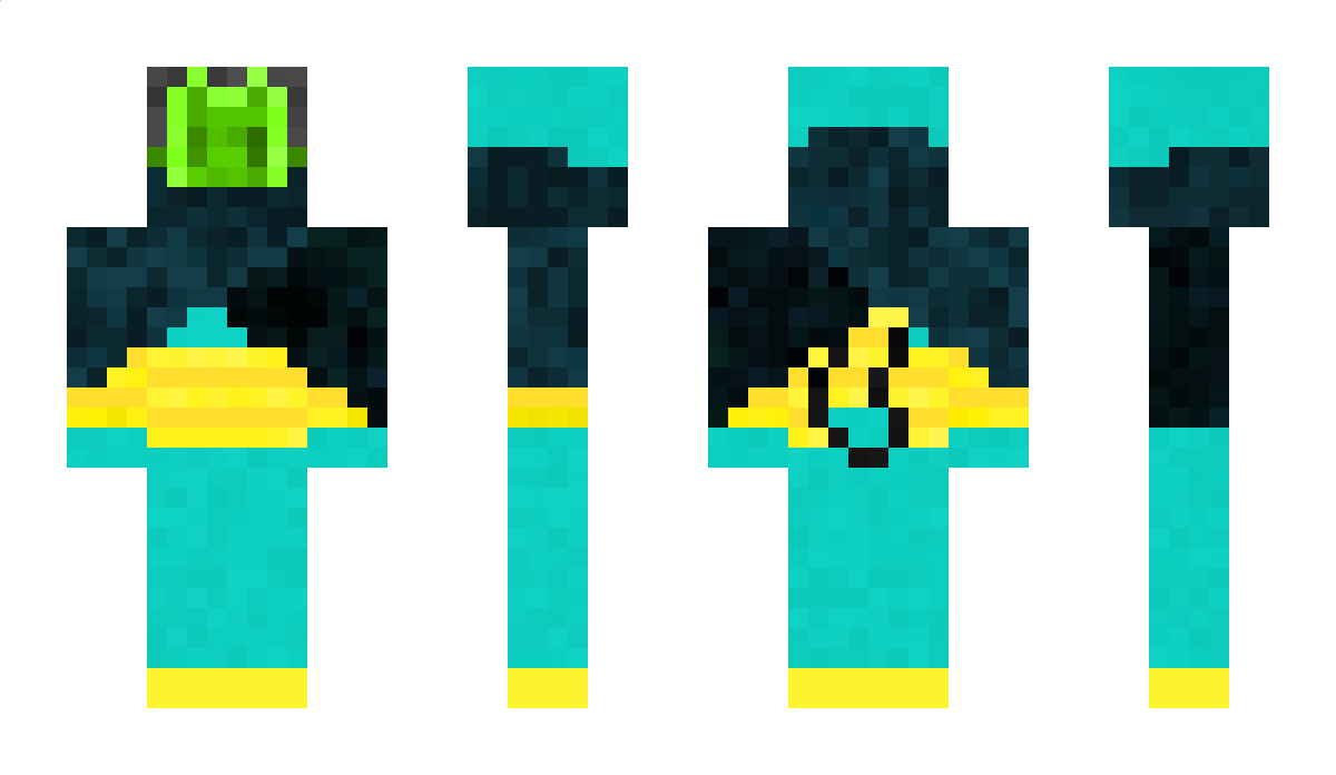 space_cat9999 Minecraft Skin