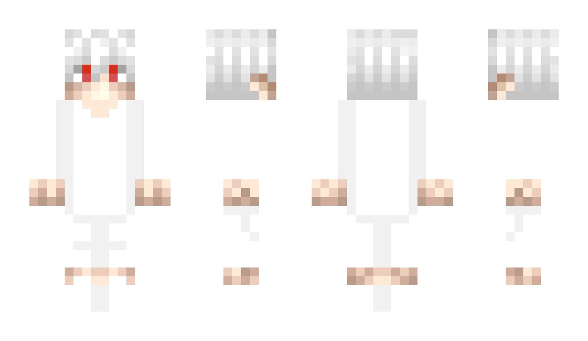 Lump4s Minecraft Skin