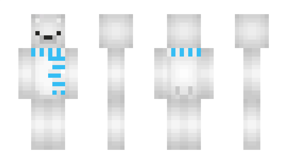 PolarCat Minecraft Skin