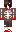 Porcelainskulls Minecraft Skin