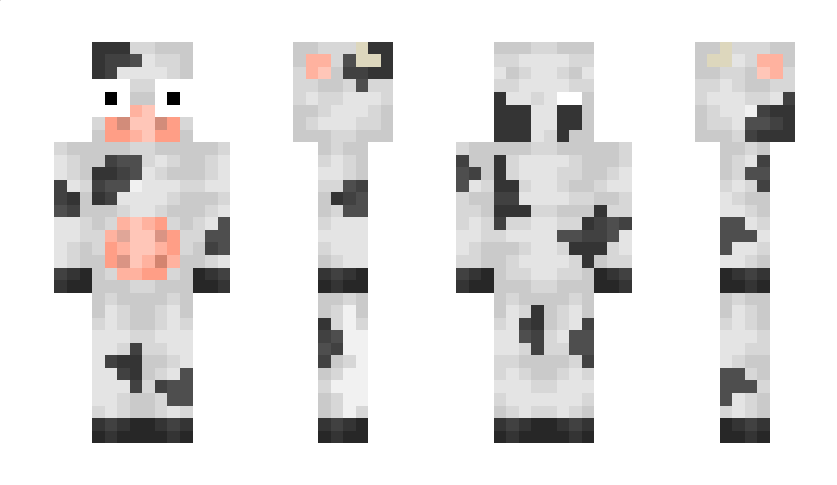 BASTIENJ83 Minecraft Skin