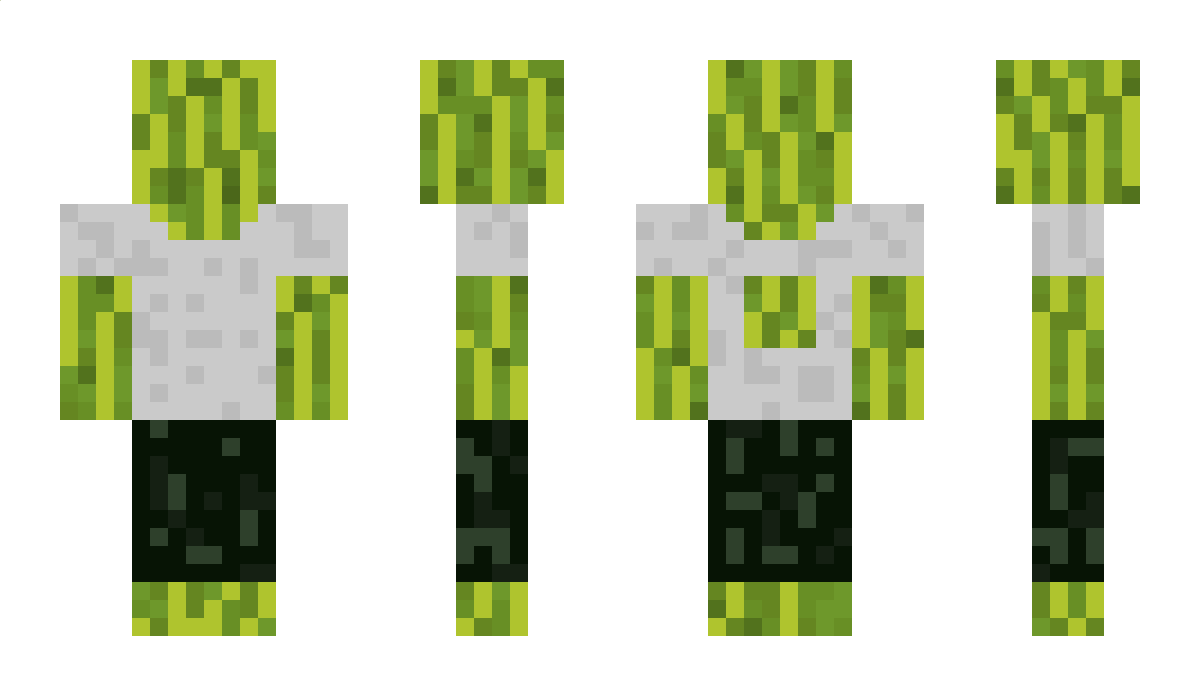 Leon_Edvardsson Minecraft Skin