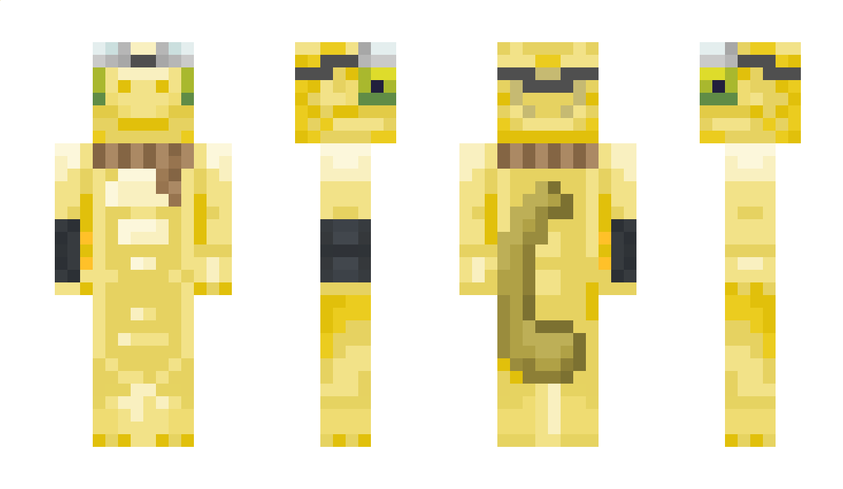 notLeok_ Minecraft Skin