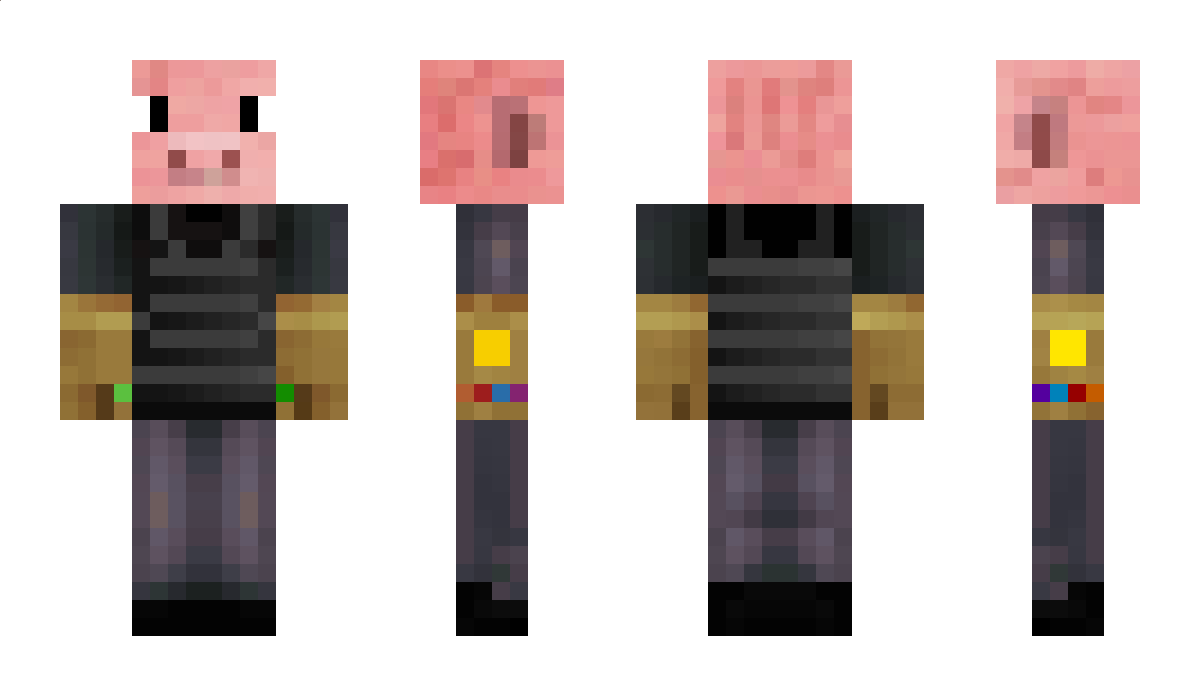 MasterPigPro Minecraft Skin