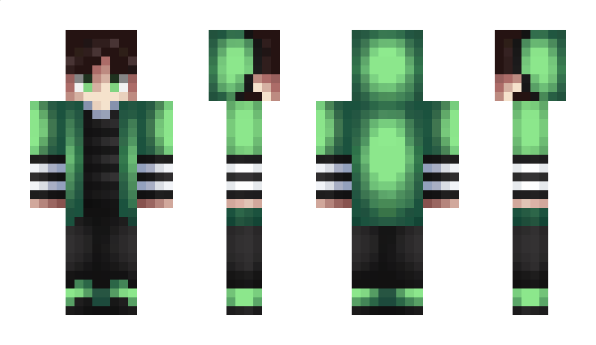 3d3_pro Minecraft Skin