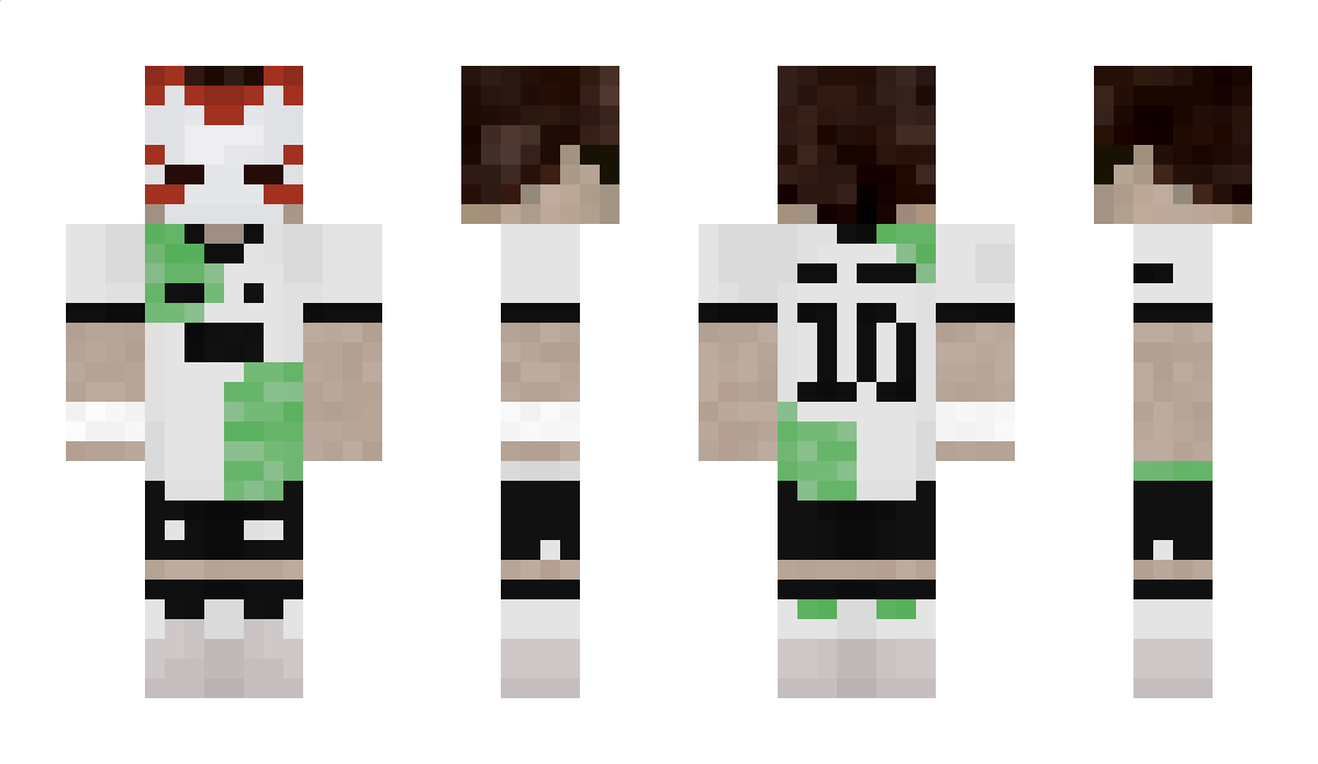 MineTrekOfBorg Minecraft Skin