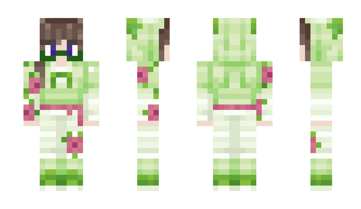 nedflandersttv Minecraft Skin