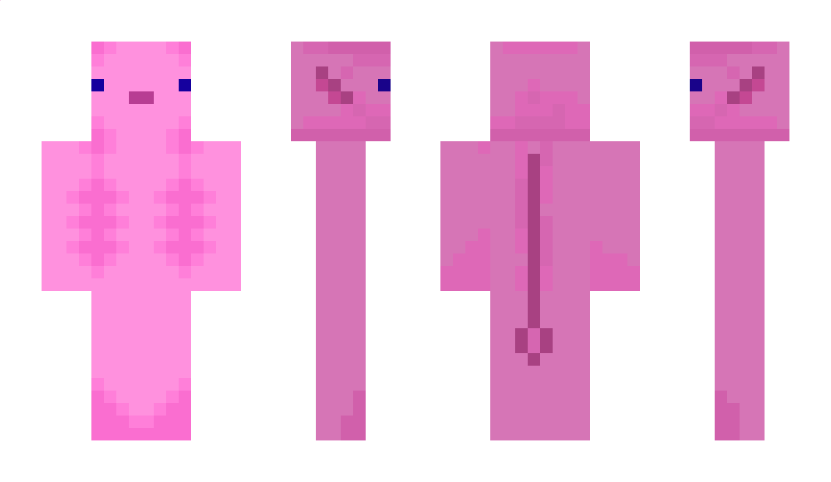 misiekpuchatek Minecraft Skin