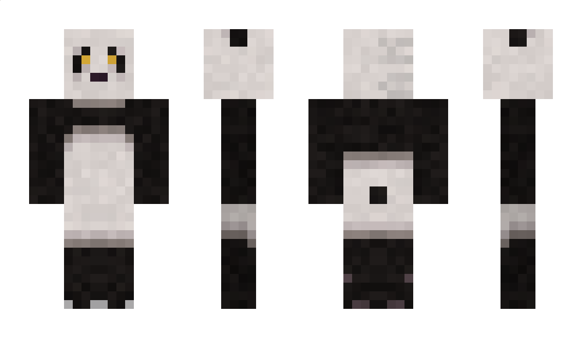 npas Minecraft Skin