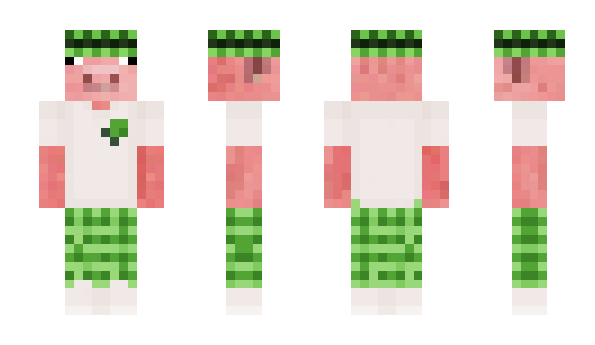 Qillzy Minecraft Skin