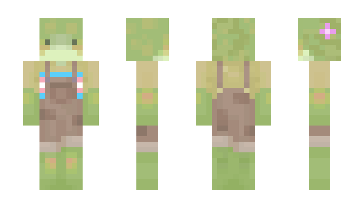 Seeyrin Minecraft Skin