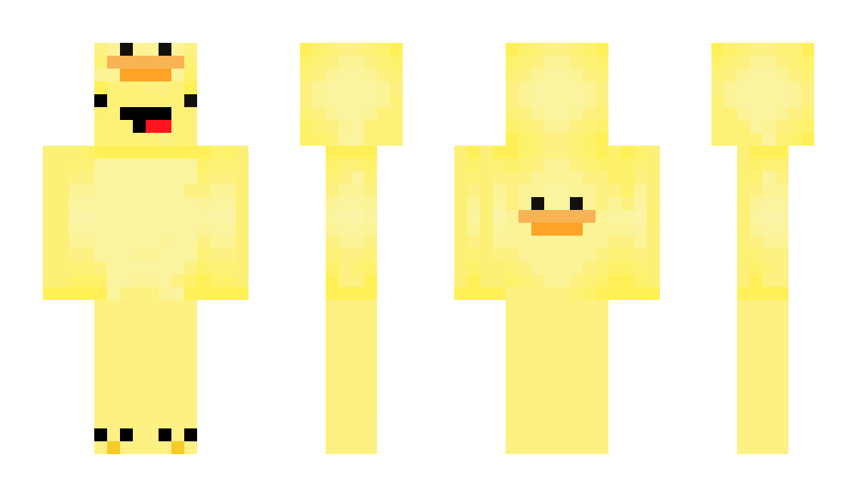 DuckyProgrammer Minecraft Skin