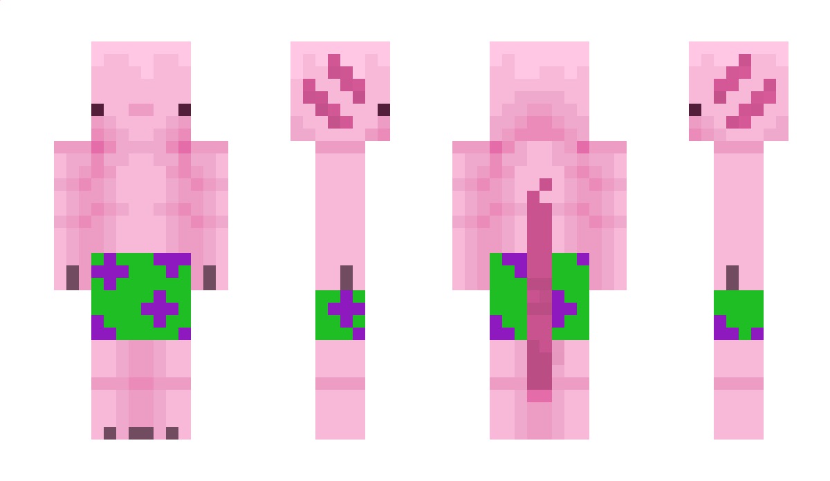 MrAxolotl8694 Minecraft Skin