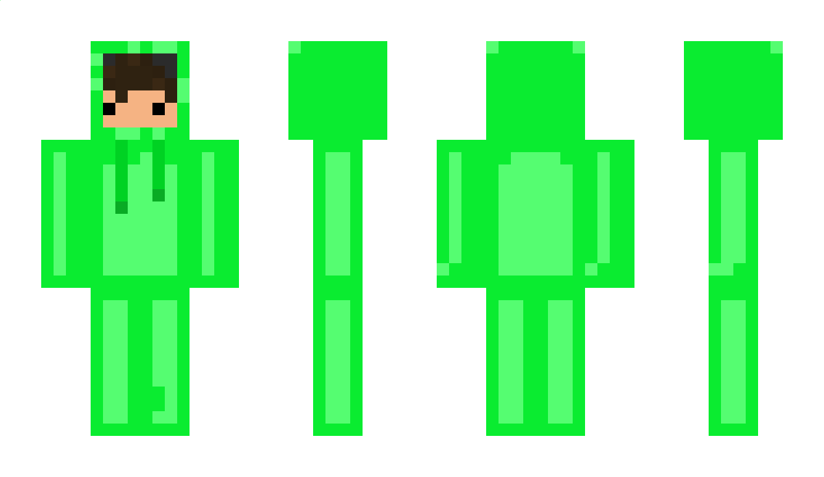 MR_Turtle0930 Minecraft Skin