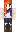 AppDapp Minecraft Skin