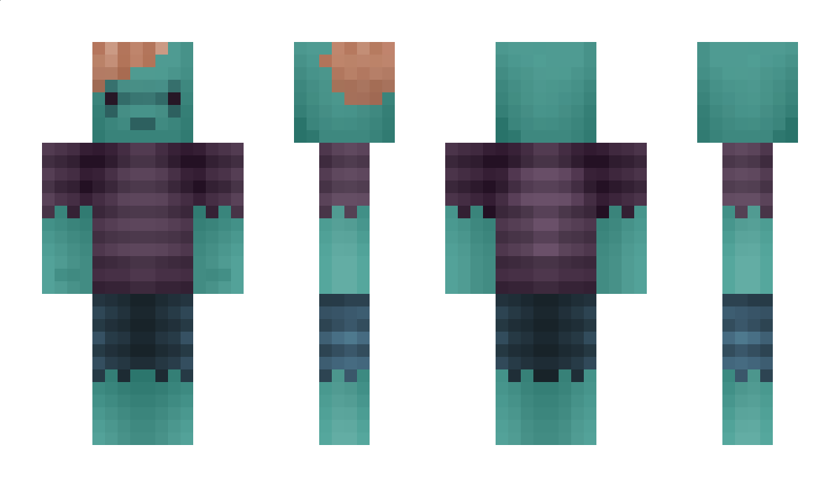 BOX1235 Minecraft Skin