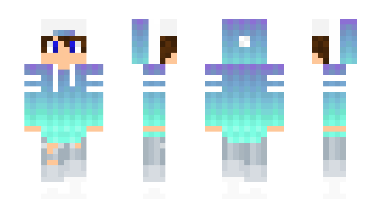 Linkein Minecraft Skin