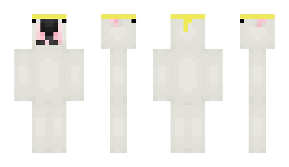 FriedVEVO Minecraft Skin