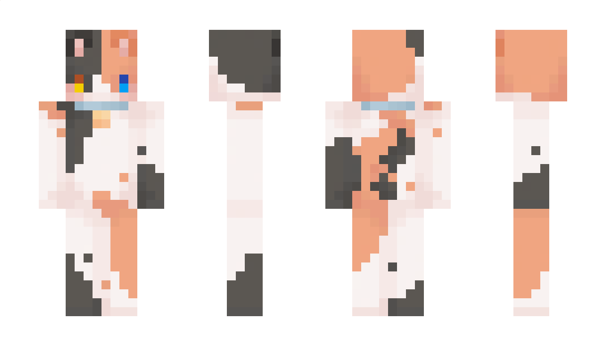 Calicoa Minecraft Skin