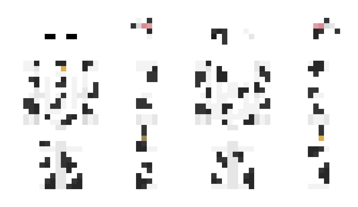 Whitest Minecraft Skin