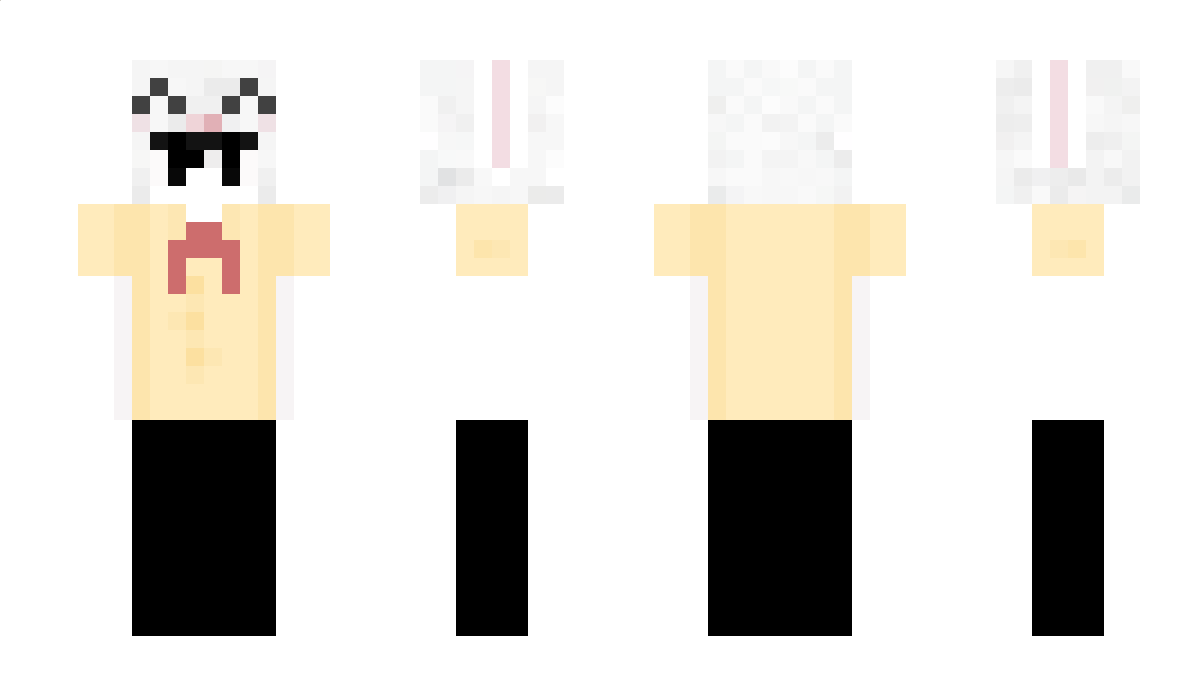 ayden0000 Minecraft Skin