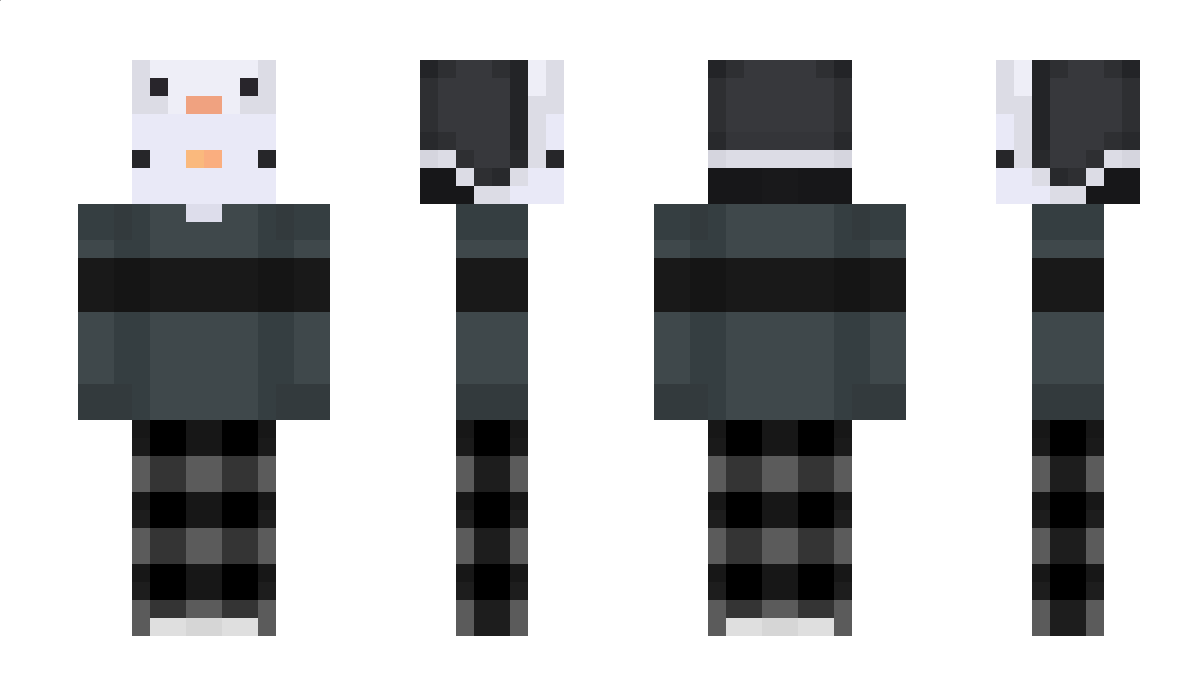 schnaapax Minecraft Skin